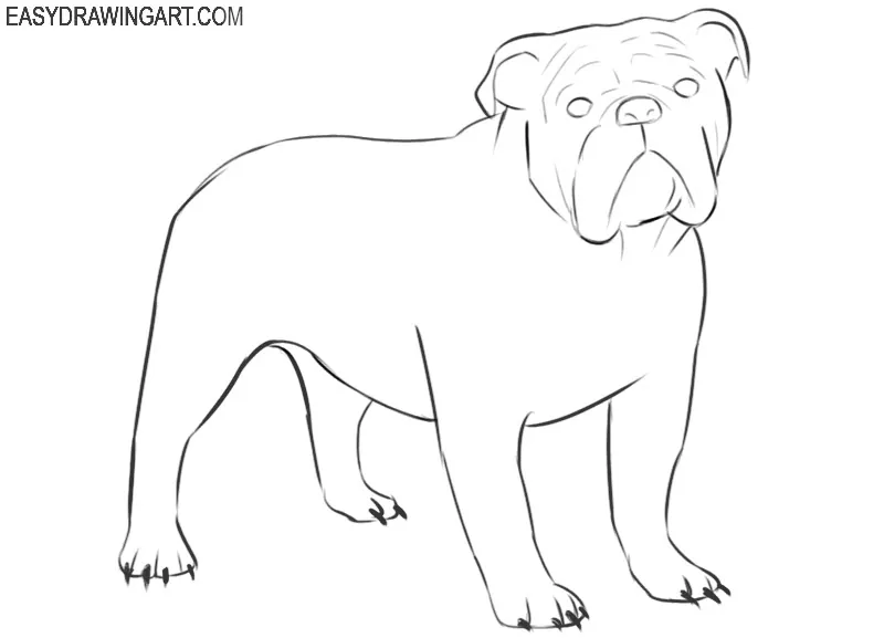 how to draw a bulldog easy step by step for beginners