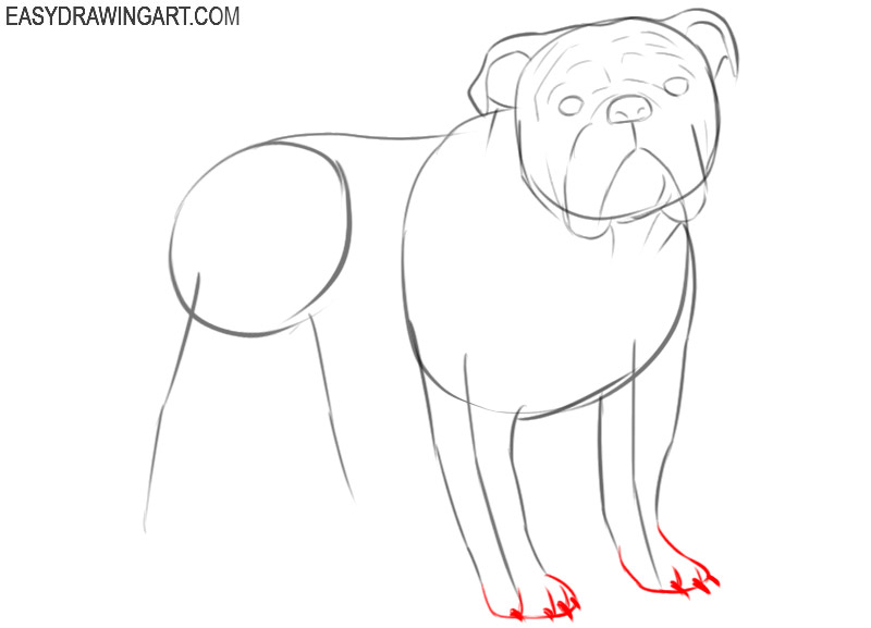 how to draw a cute cartoon bulldog