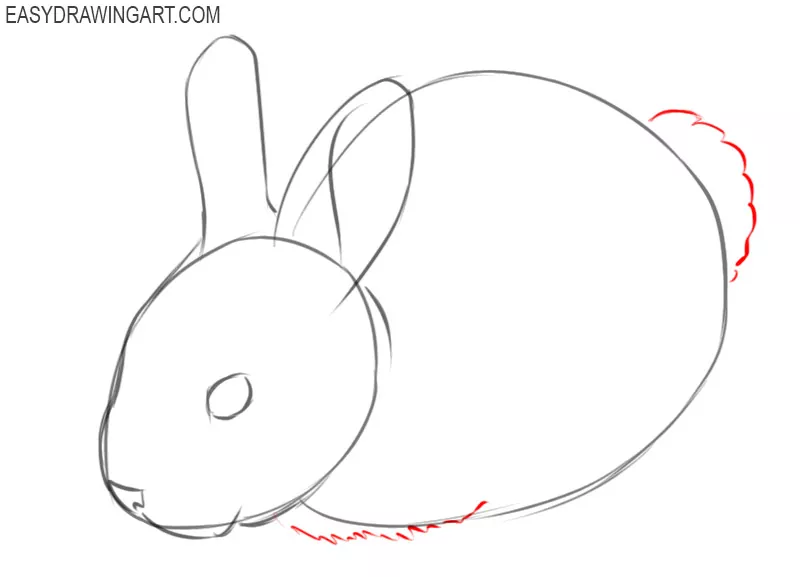 how to draw a bunny by step