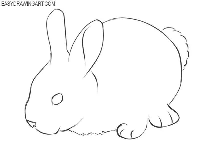 how to draw a bunny cartoon step by step