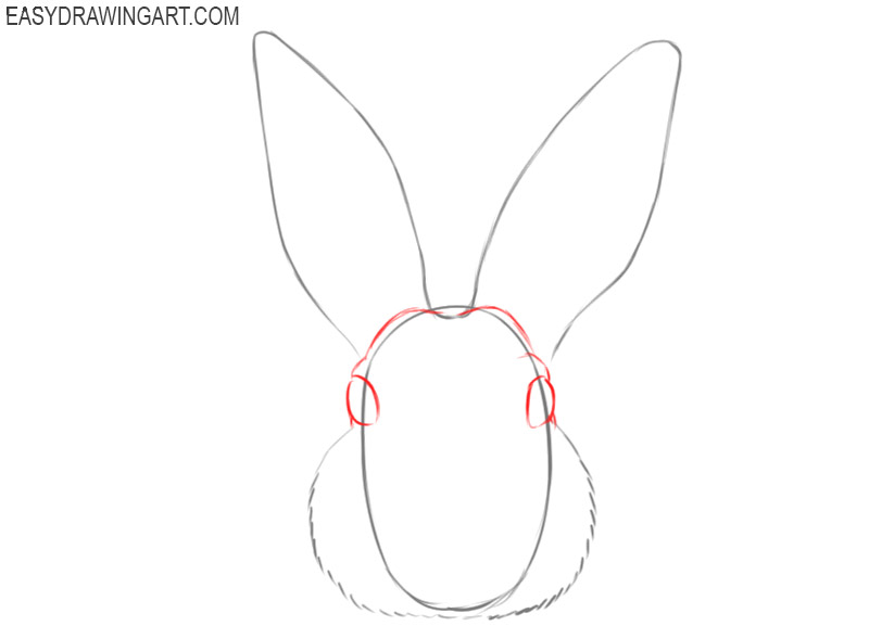 how to draw a cute bunny face step by step