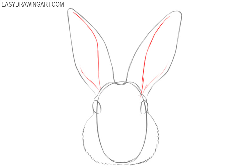 how to draw a cartoon rabbit face