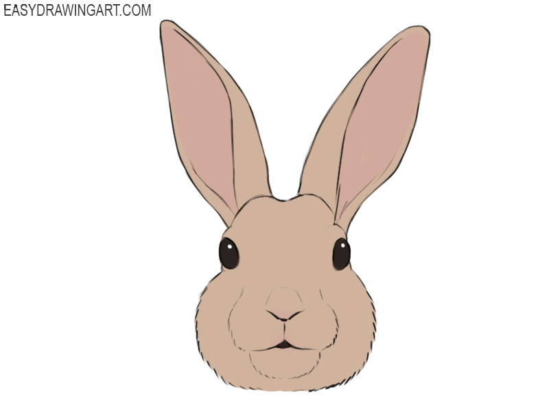 rabbit simple drawing