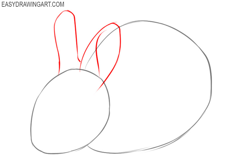 how to draw a bunny step by step