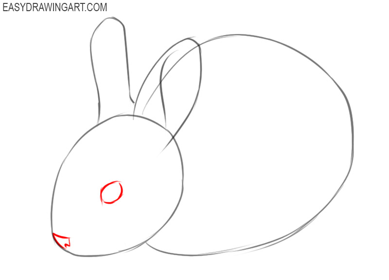 how to draw a bunny rabbit
