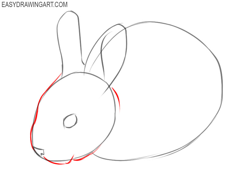 how to draw a bunny for kids