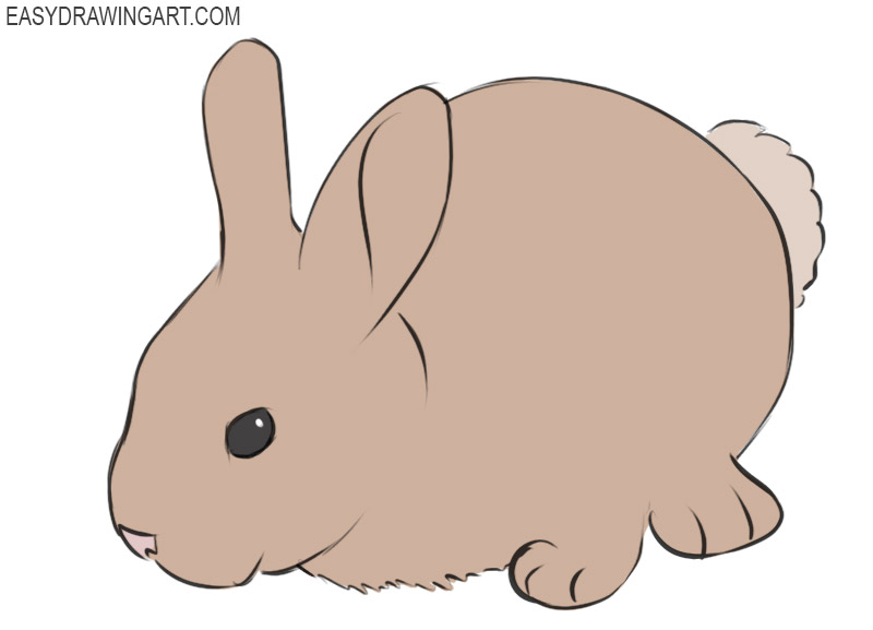 How To Draw A Bunny Draw Animals Easy Drawings