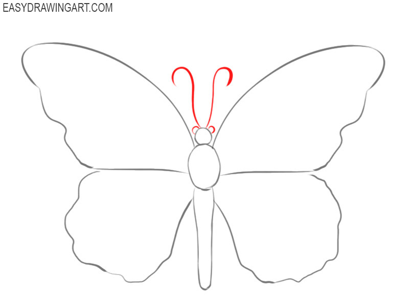 how to draw a butterfly beautiful