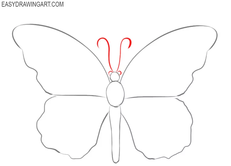 Нарисовать бабочку на стене поэтапно