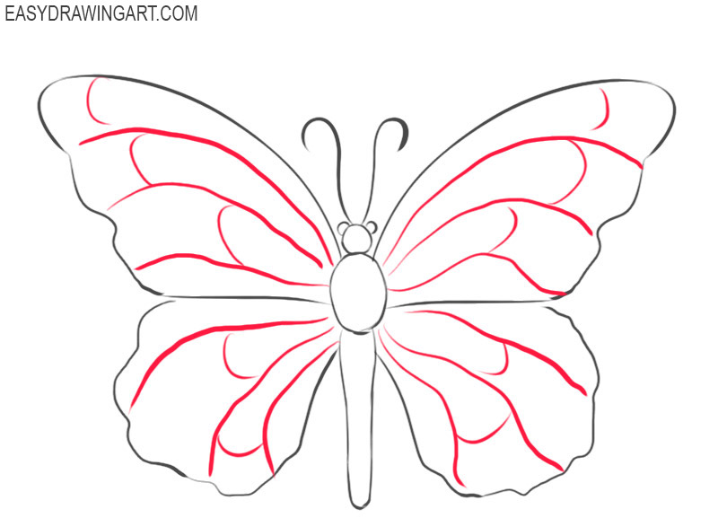 how to draw a butterfly cartoon