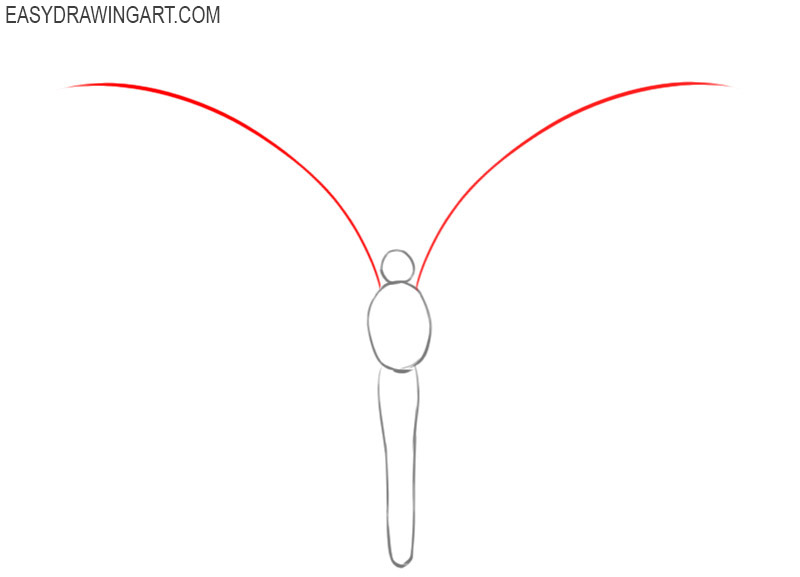 how to draw a butterfly and colour it