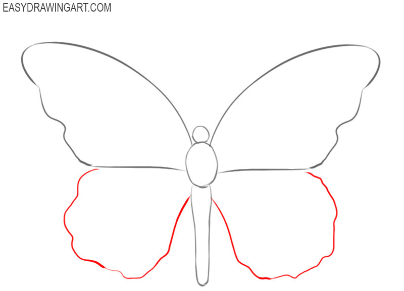 how to draw a butterfly step by step with pencil