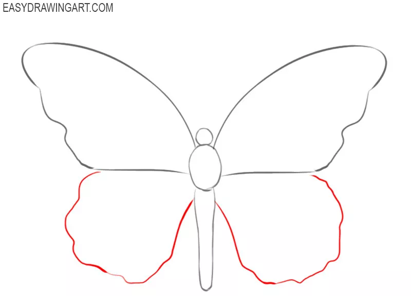Line art butterfly vector image | Free SVG