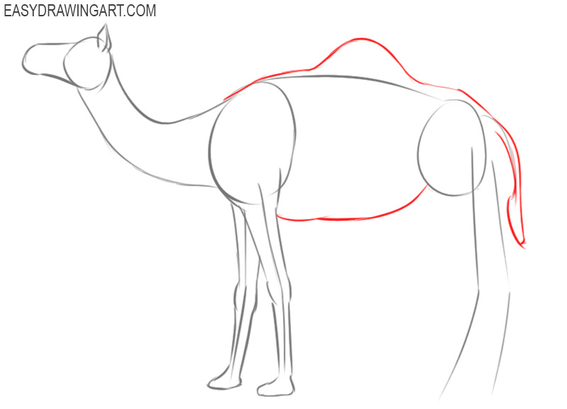 how to draw a camel cute