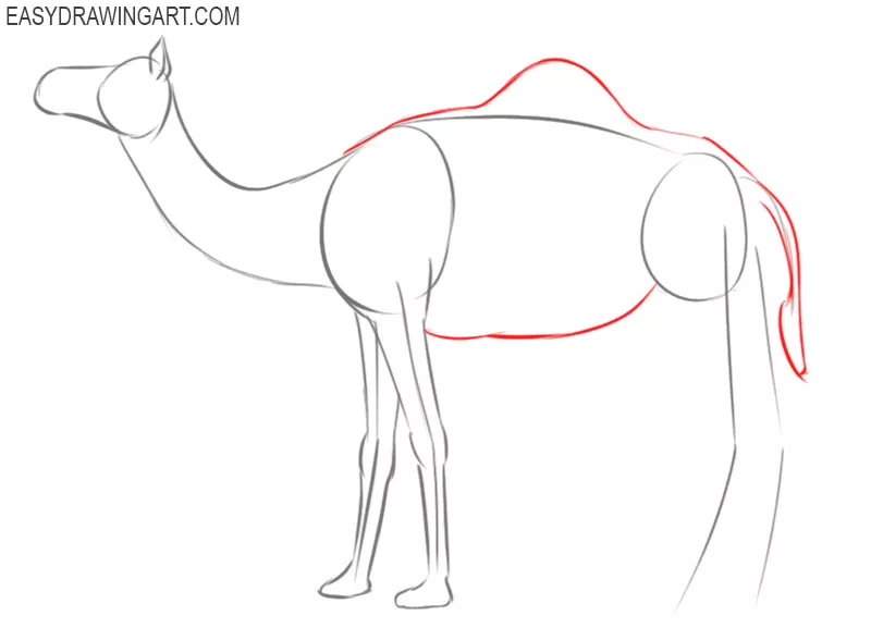 how to draw a camel cute