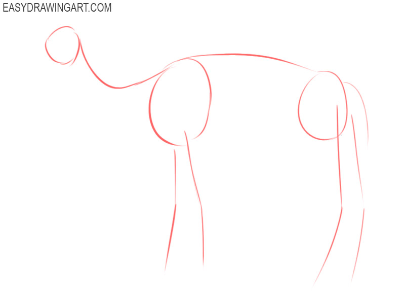 how to draw a camel easy