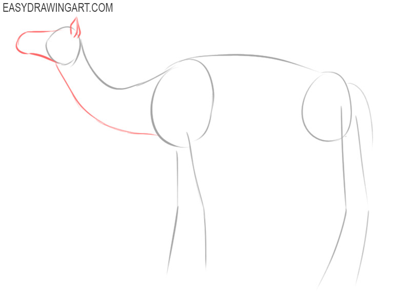 how to draw a camel step by step