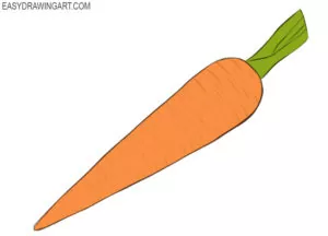 How to draw a carrot