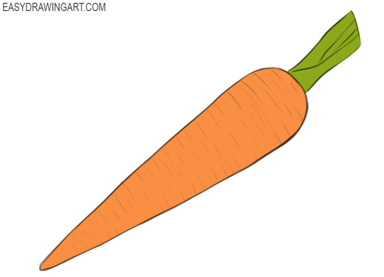 How to draw a carrot