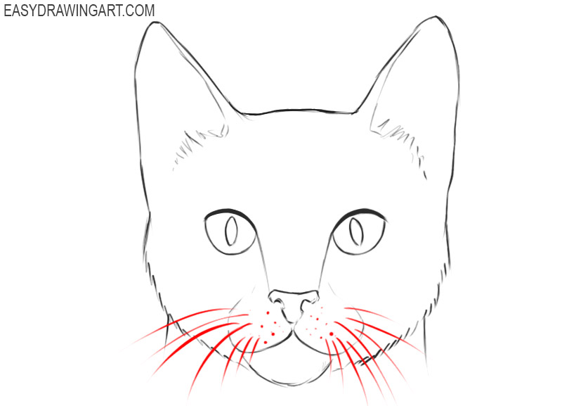 How To Draw A Cat Face Easy Drawing Art