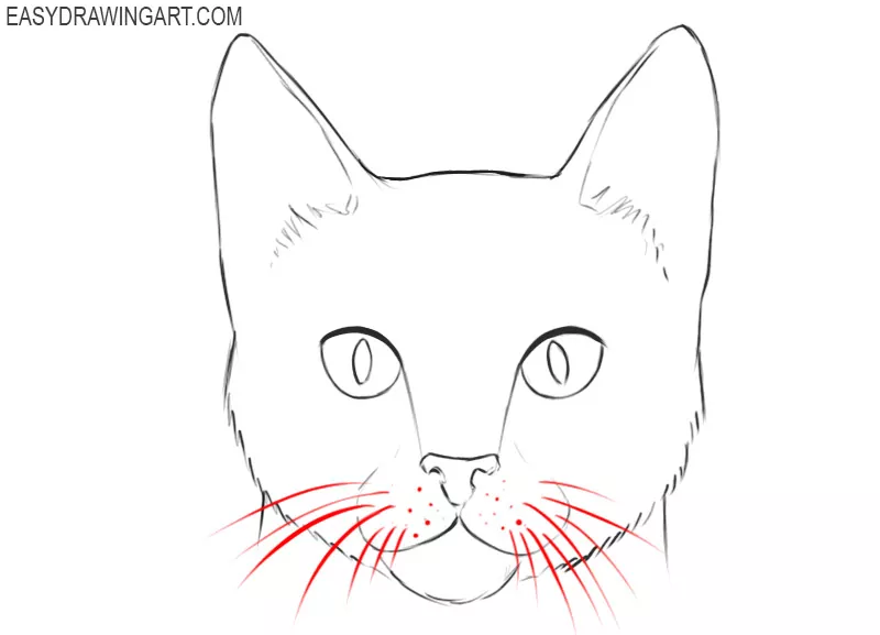 how to draw a cartoon cat face easy