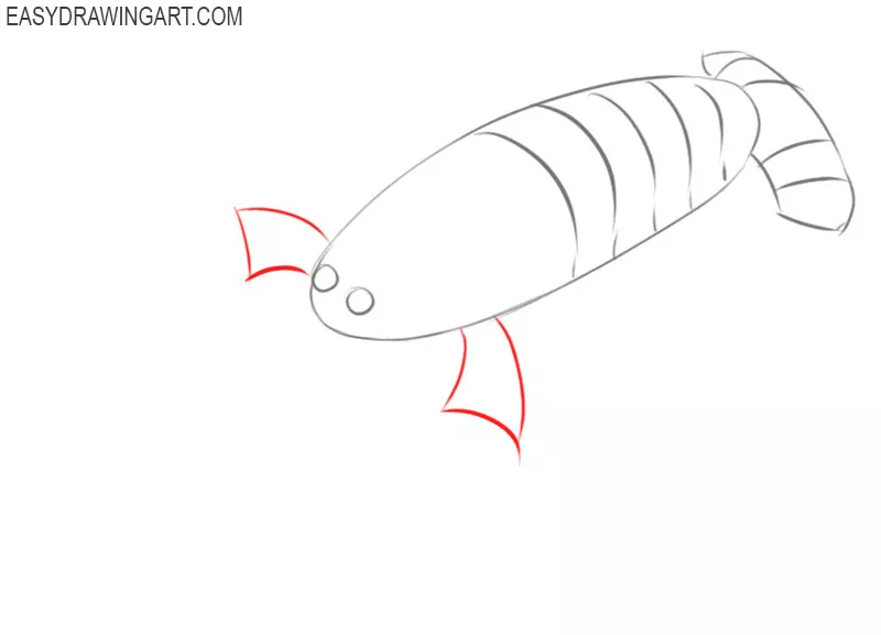 how to draw a cartoon crayfish