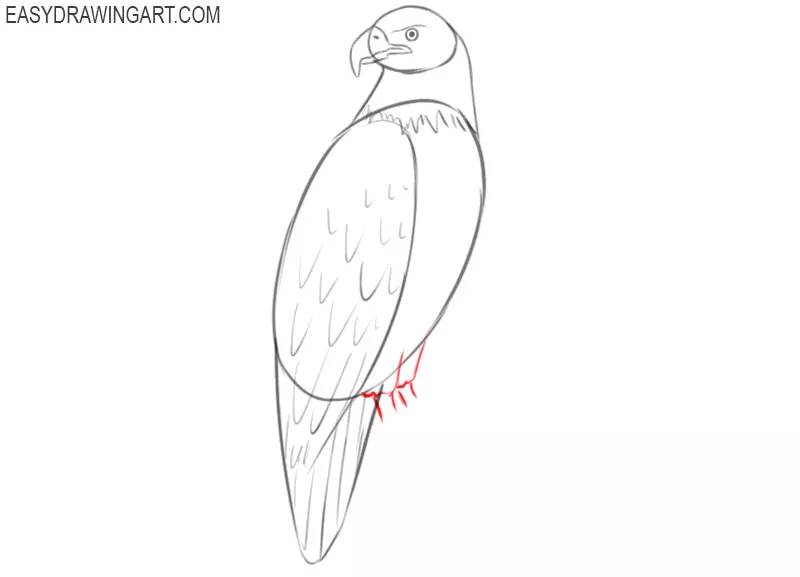 how to draw a cartoon eagle step by step