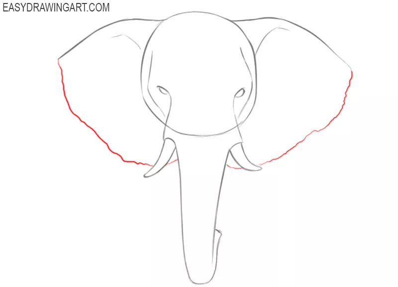 How to Draw an Elephant Head Easy Drawing Art