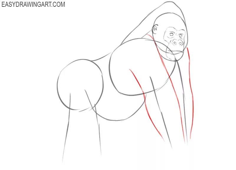 how to draw a cartoon gorilla step by step
