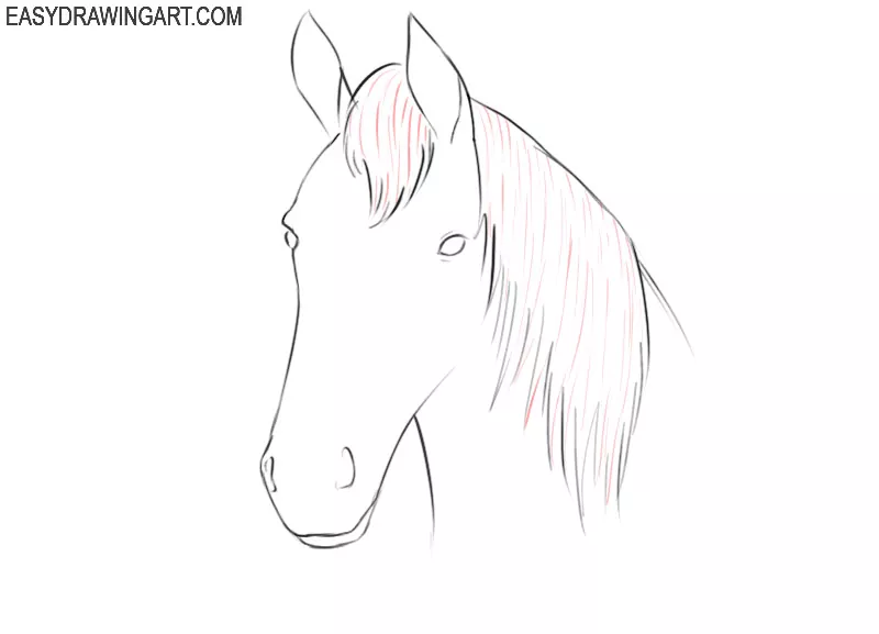how to draw a cartoon horse head easy