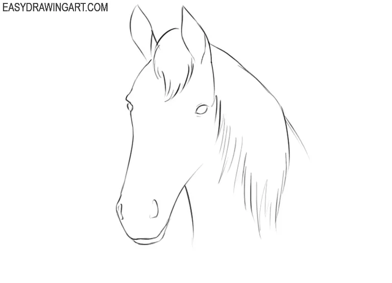 how to draw a cartoon horse head step by step