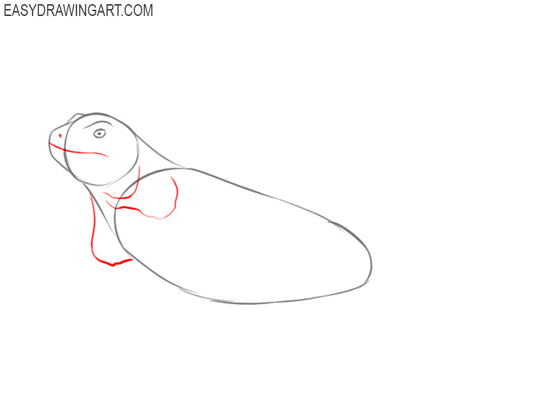 how to draw a cartoon iguana step by step