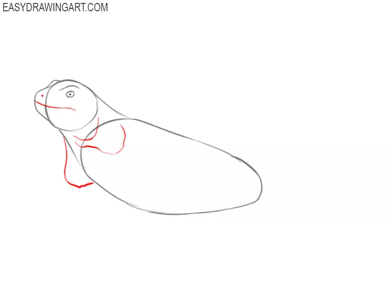 How to Draw an Iguana - Easy Drawing Art