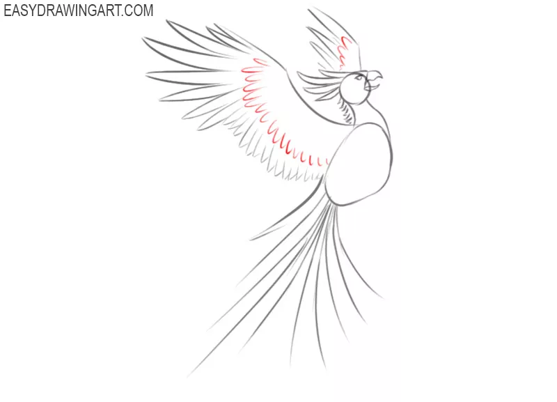 how to draw a cartoon phoenix easy