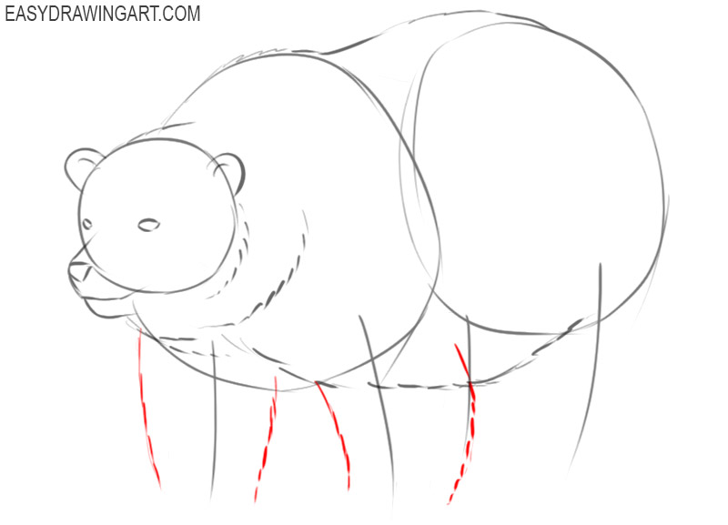 how to draw a cartoon polar bear step by step