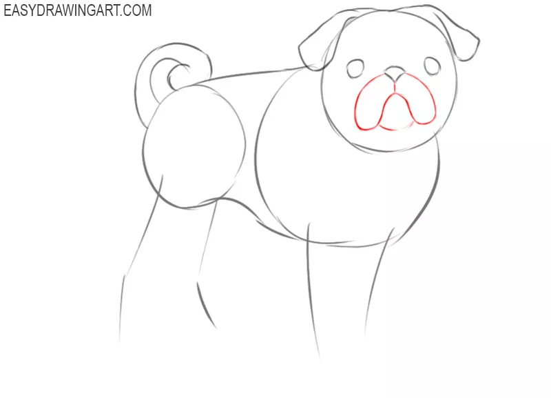 how to draw a cartoon pug easy