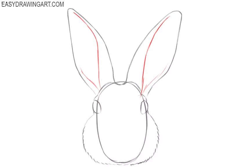 how to draw a cartoon rabbit face