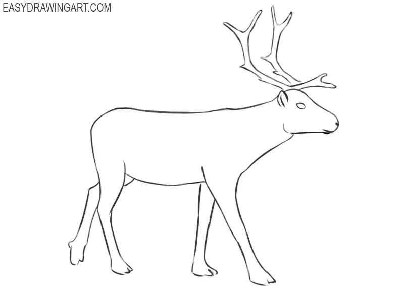 how to draw a cartoon reindeer step by step