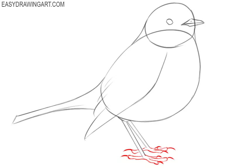 how to draw a cartoon robin bird