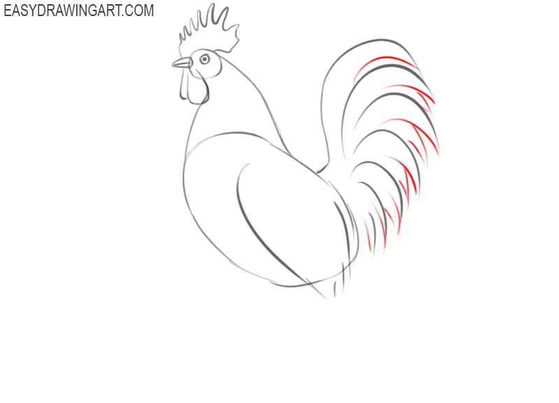 how to draw a cartoon rooster step by step