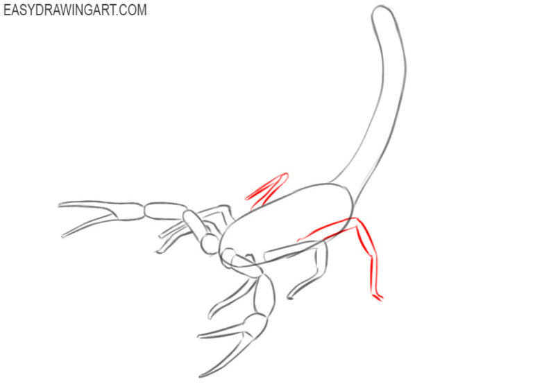 how to draw a scorpion easy Scorpion draw side step circle curved line