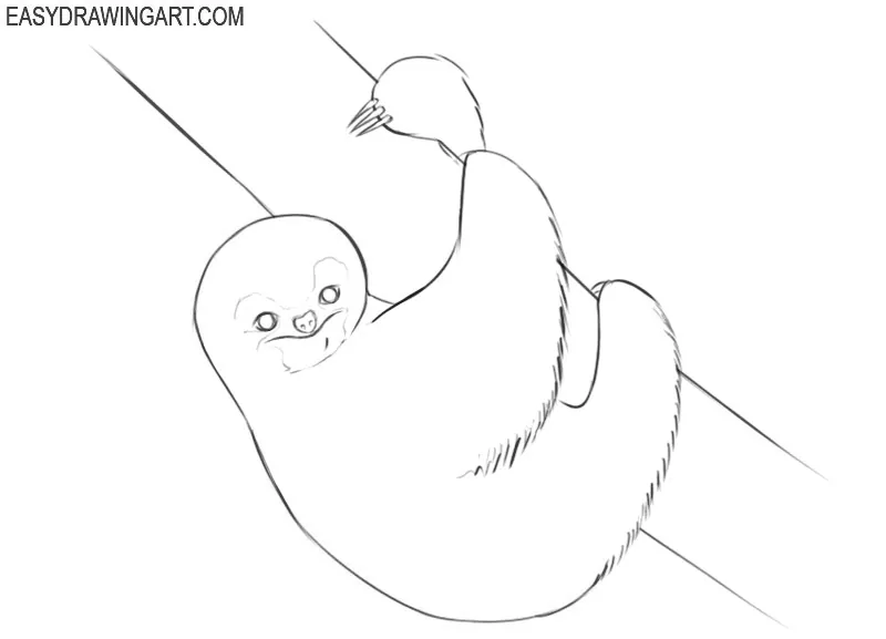 how to draw a cartoon sloth easy