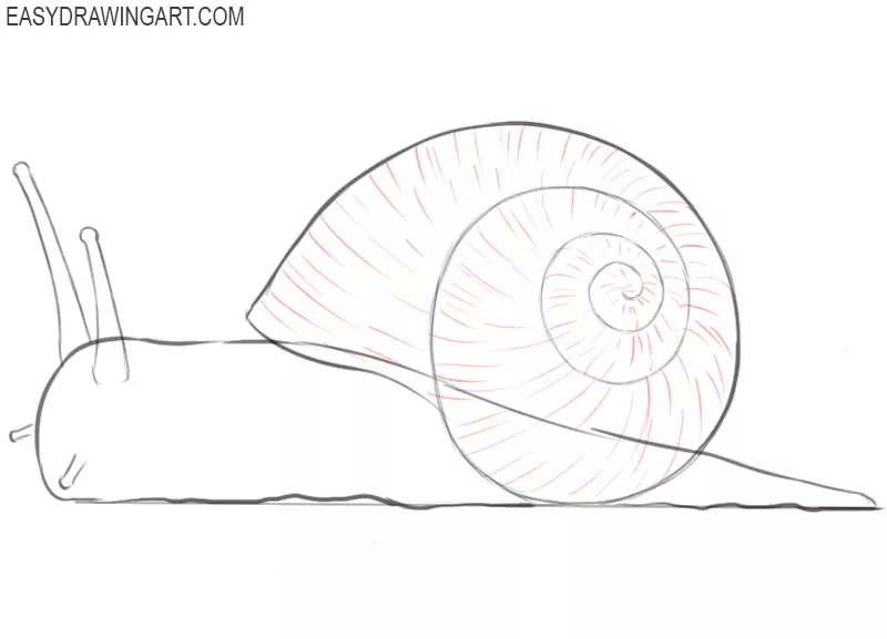 how to draw a cartoon snail step by step