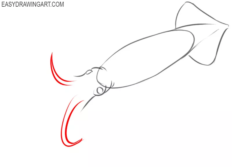 how to draw a cartoon squid step by step