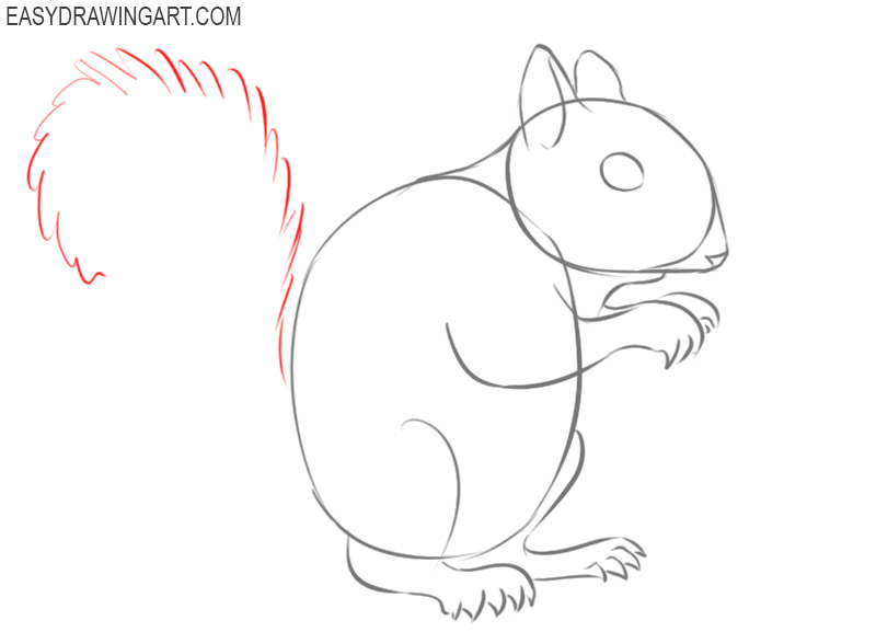 how to draw a cartoon squirrel step by step