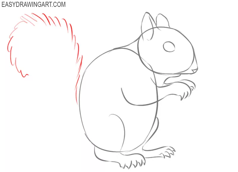 How to Draw a Squirrel - Easy Drawing Art