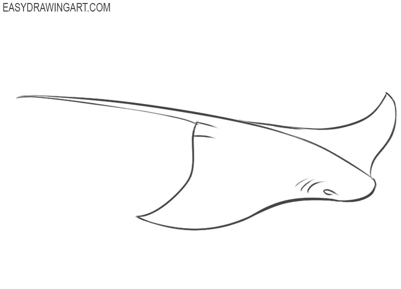 how to draw a cartoon stingray 