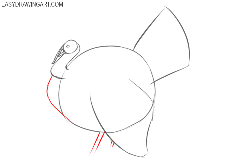 how to draw a cartoon turkey easy