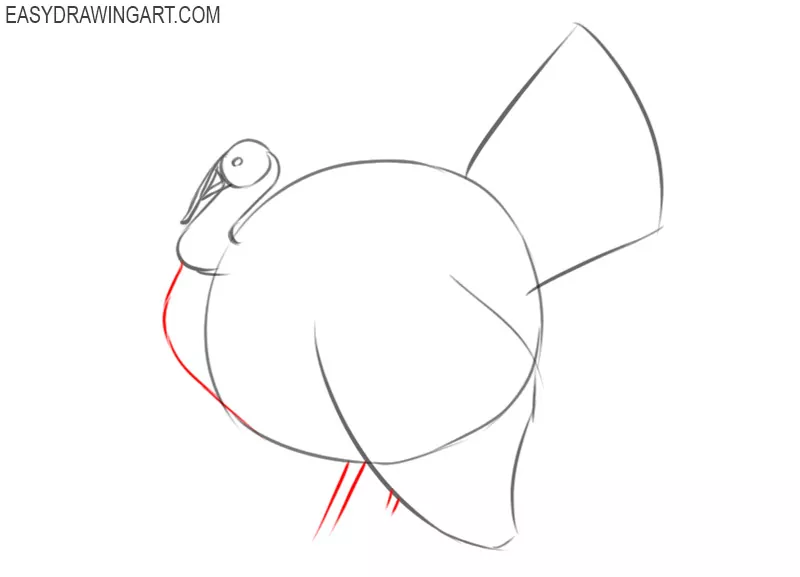 how to draw a cartoon turkey easy