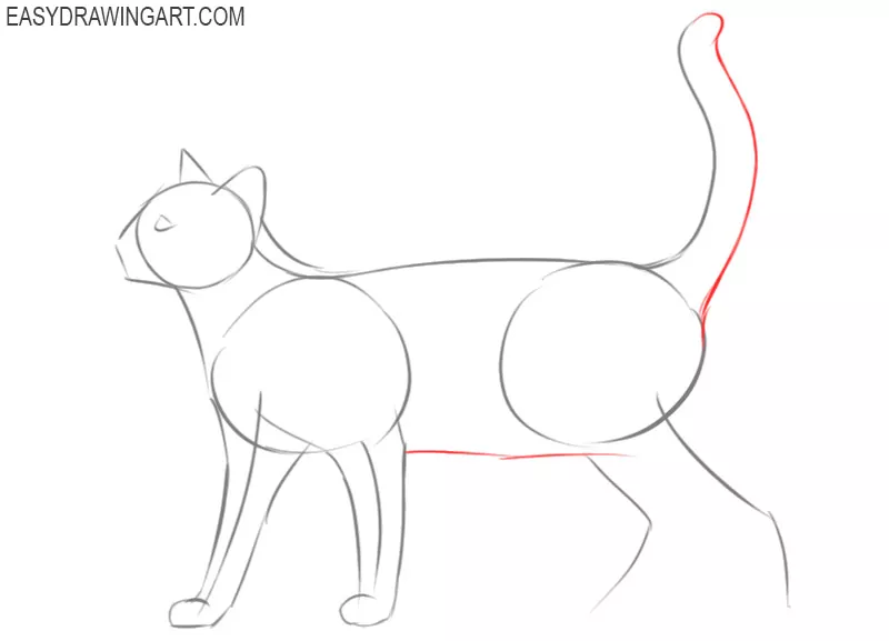 how to draw a cat by step by step